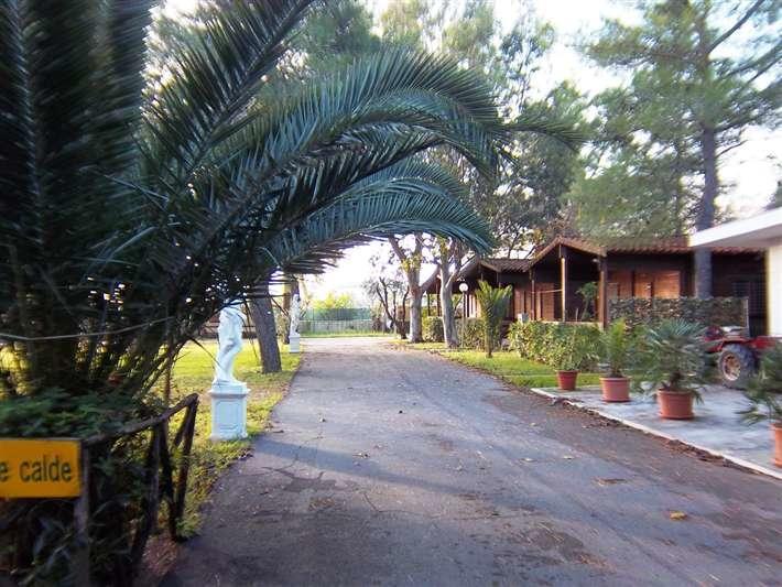 Viola Club Village & Camping フォチェ・ヴァラーノ エクステリア 写真